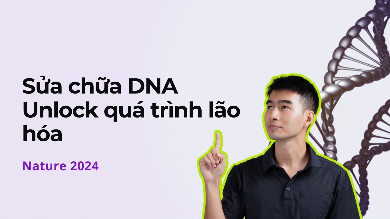 Cách Sửa Chữa DNA – Enzyme Có Thể Làm Chậm Quá Trình Lão Hóa