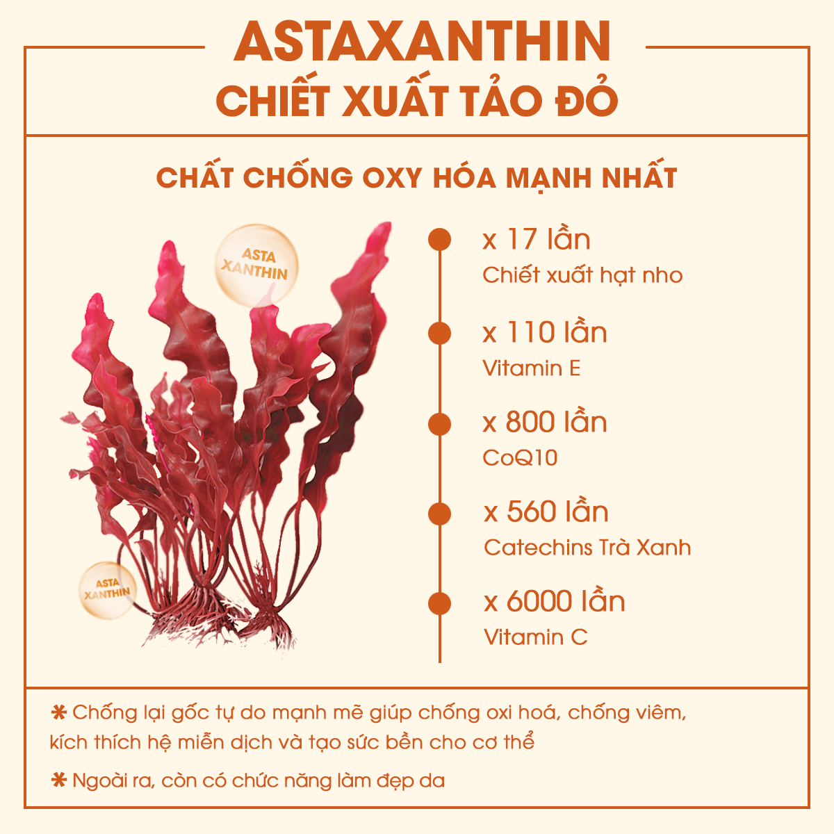 Viên uống Omega 3 Astaxathin hỗ trợ Tim Mạch